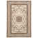 Oriental Indoor Rug