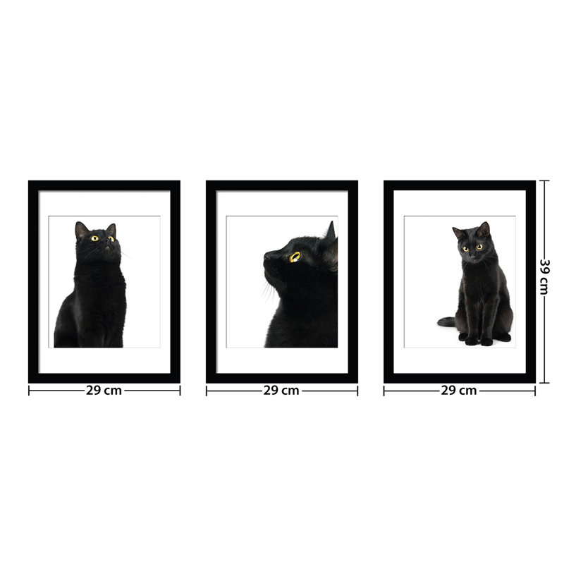 3 Piece Single Picture Frame Print