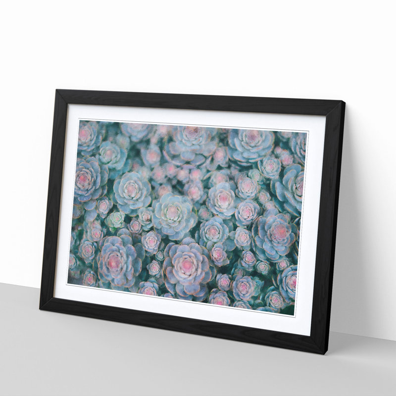 Succulent Plants Abstract - Single Picture Frame Painting on MDF, 33cm H x 45cm W x 2cm D, Black
