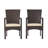Patio Dining Chair(Set of 2)