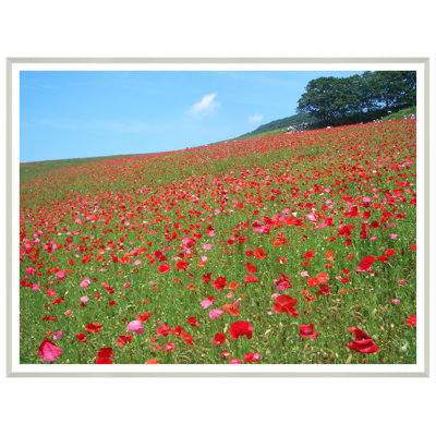 «Landscape Field», reproduction de photo encadrée