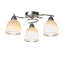 Astro Glass Semi Flush Mount