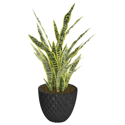 Panama 41.6'' Faux Agave Tree in Planter