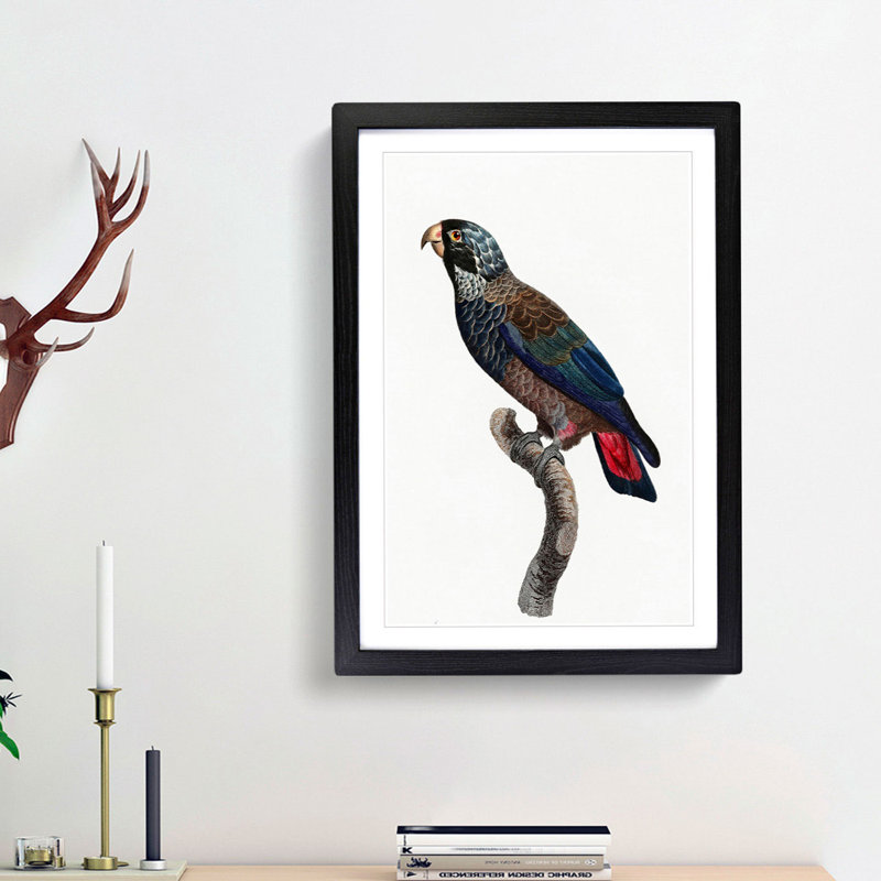 Bronze Winged Parrot by F. Levaillant - Picture Frame Graphic Art Print, 48cm H x 36cm W x 2cm D, Black Framed