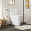 Toilette allongée une pièce à chasse latérale avec chaise ADA Soroca