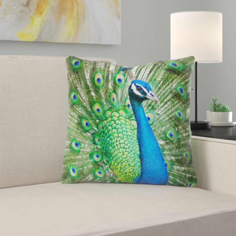Magnifique coussin de peacock masculin