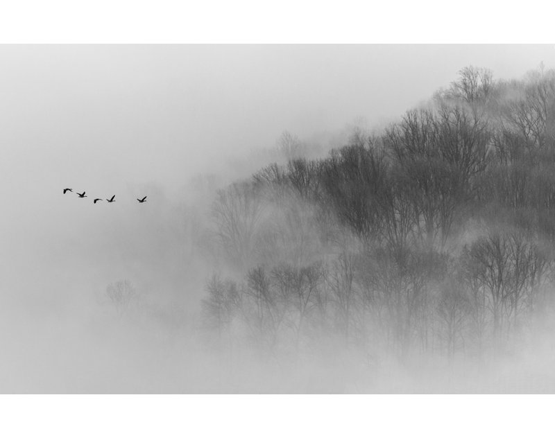 Wrapped Canvas Print, 81.28 cm H x 121.92 cm W