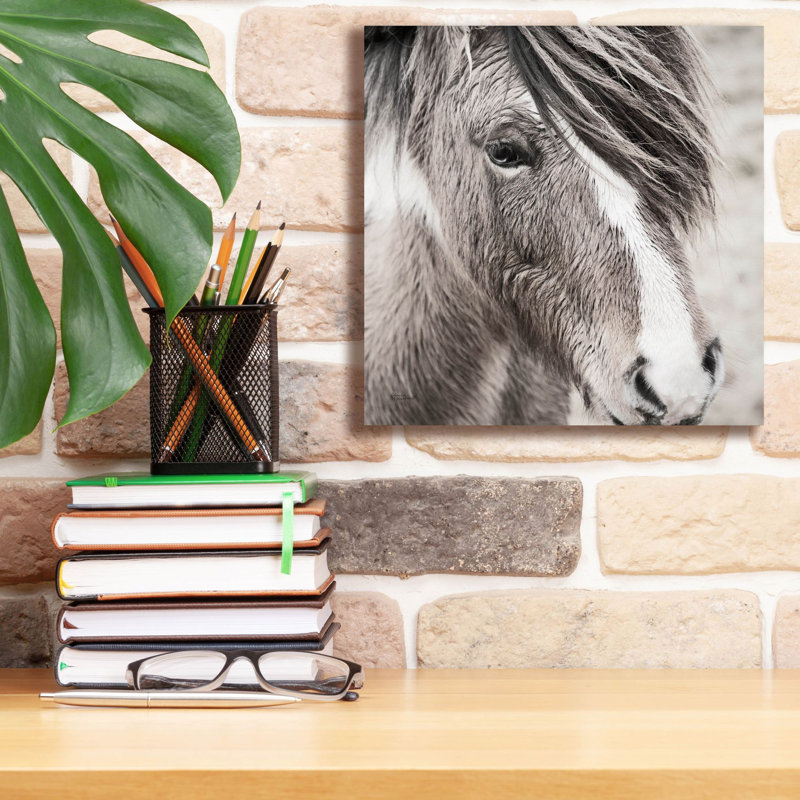 Winston Porter 'Elska 3 Bw' by Laura Marshall Canvas Wall Art, 18" x 18", H 12 po x l 12 po x P 0,75 po