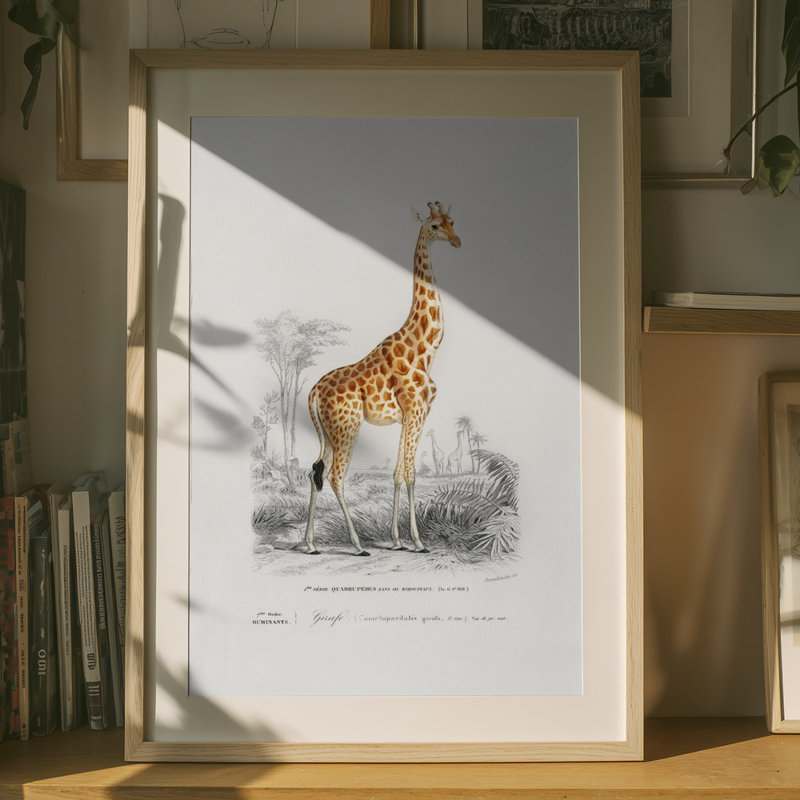 Wrapped Canvas Print, 91.44 cm H x 60.96 cm W