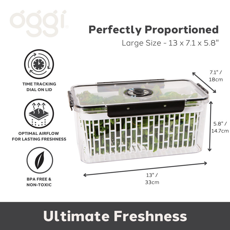 Large Produce Keeper w/Adjustable Date - 13x7x5.75˝