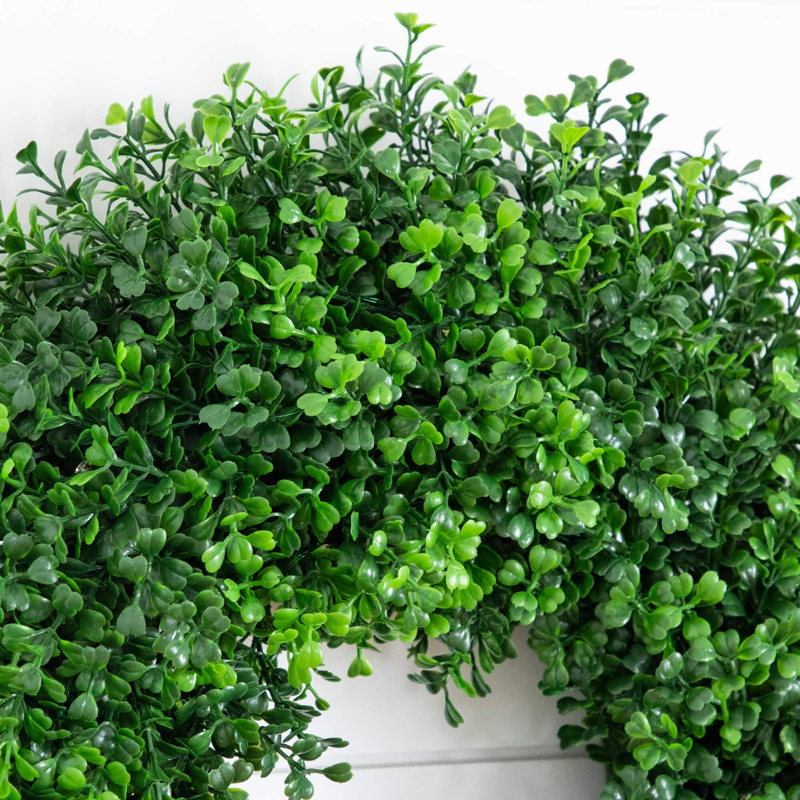Charlton Home® 18" Pre-Lit Boxwood Wreath, Green