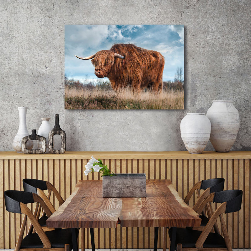 3AP6279 Scottish Highland Bull by Pangea Images - Wrapped Canvas Art Prints, 70cm H x 100cm W
