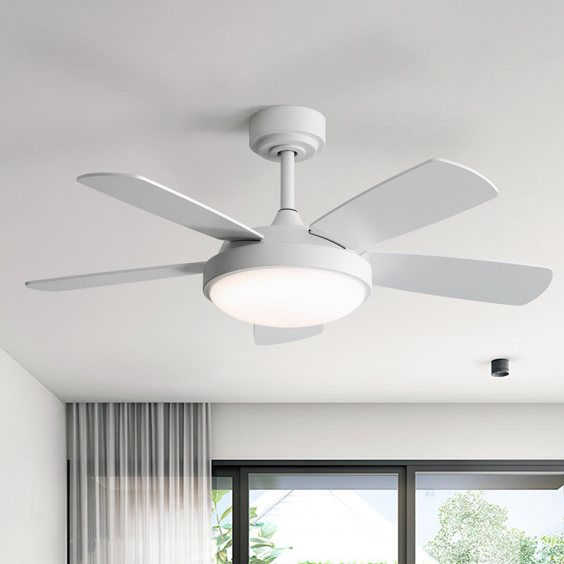 Damecia 42'' 5 Blade Modern Ceiling Fan With Light and Remote Control, White