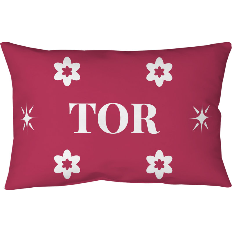Coussin intérieur / extérieur soufflé et fermé Toronto Basketball 20 po x 14 po, Rose/Blanc