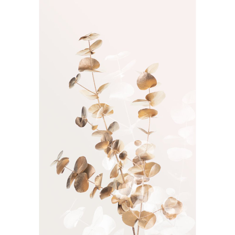 Wrapped Canvas Print, 76.2cm H x 50.8cm W