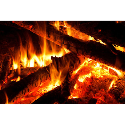 Log Fire - Wrapped Canvas Print