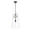 Luminaire suspendu 1 lumière Breakwater Bay Adino avec abat-jour en verre transparent-1496695540