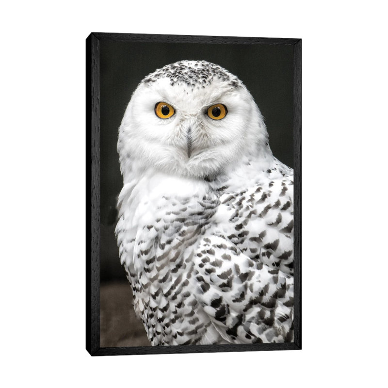 Snowey 1 Piece Wall Art on Canvas, 66.04 cm H x 45.72 cm W, Black Framed