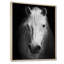 Cheval, reproduction d'art sur toile, cheval noir et blanc-1375218642-1427135194-1427135197