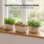 Plant Stand
