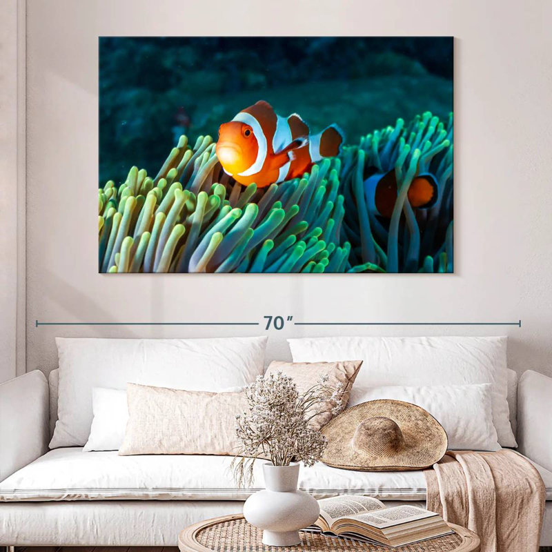 Brampt Frowning Clownfish, 34" H x 51" W