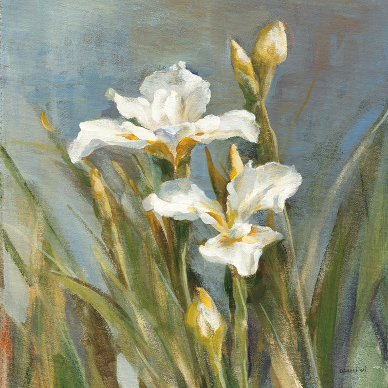 Spring Iris II by Danhui Nai - Wrapped Canvas Art Prints