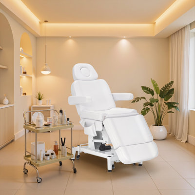 Lit de massage électrique à 3 moteurs avec hauteur réglable, pieds et dossier, lit pour le visage pour esthéticienne