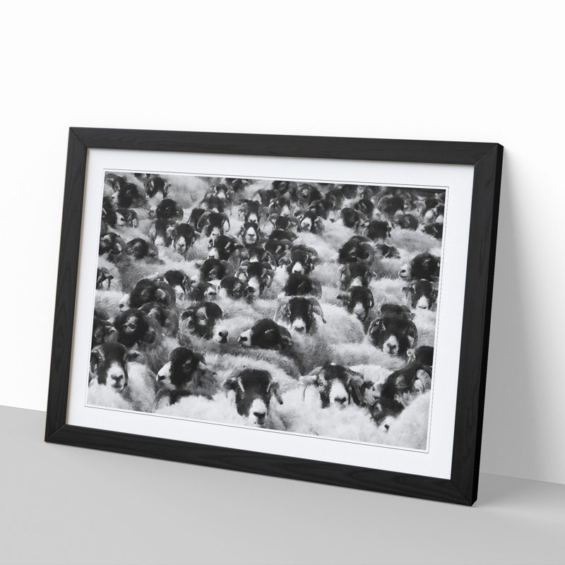 Flock of Sheep Vol.2 - Framed Print, Black Framed, 48cm H x 65cm W x 2cm D