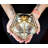Glass Jewellery Box
