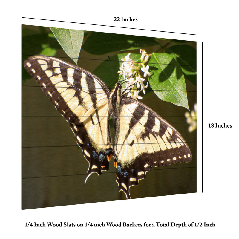 «Eastern Tiger Swallowtail Butterfly Wingspan» sur bois par Leslie Montgomery, H 18 po x l 22 po