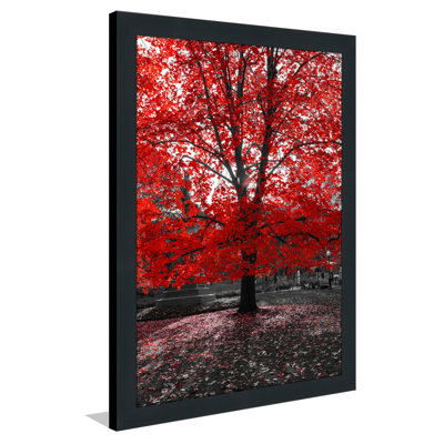 « red tree », reproduction de photo encadrée
