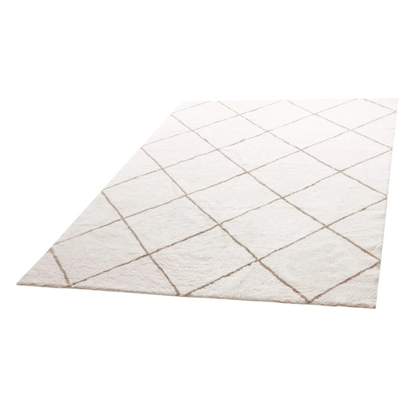 Tapis d'intérieur moelleux, tapis moelleux de 8 pi x 10 pi, tapis à poils longs avec poils longs, épais et durables