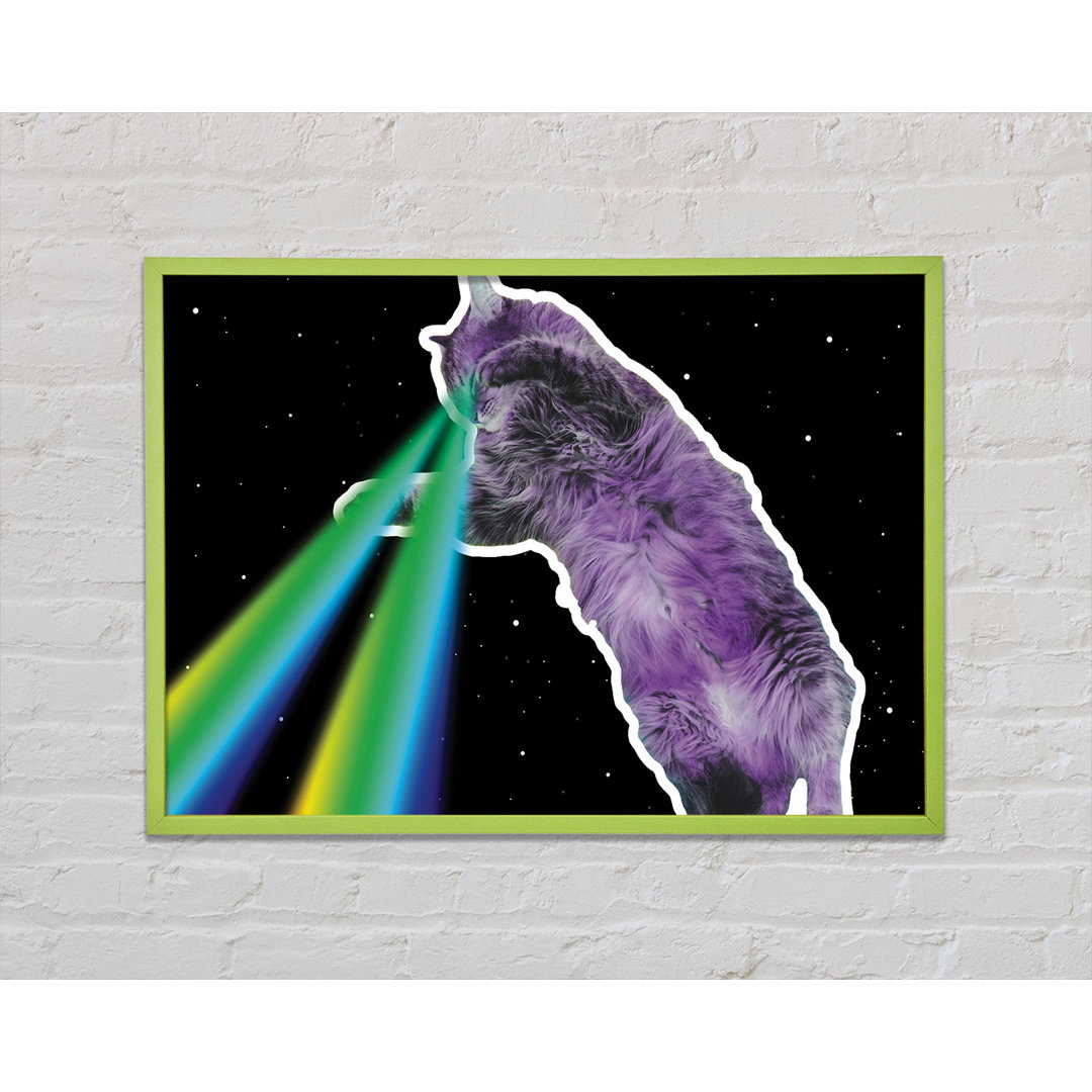 Carleta Cat Lazer Beam Space - Einzelner Bilderrahmen Kunstdrucke