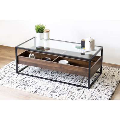 Ahart Frame Coffee Table with Storage