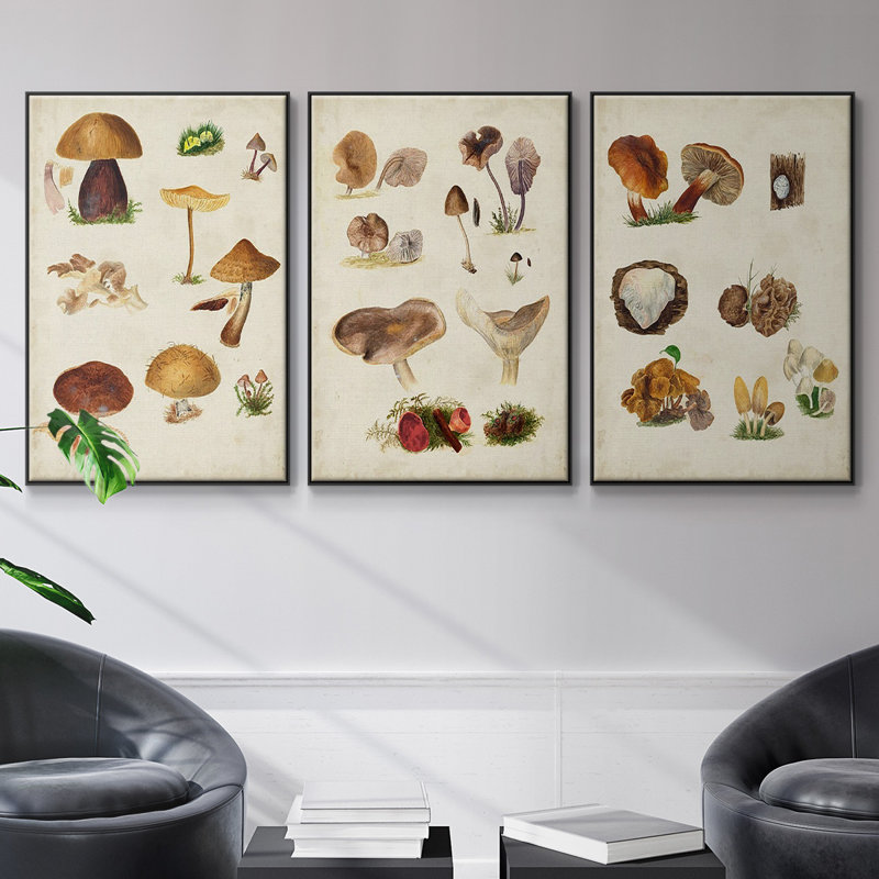 " Mushroom Species I " 3 - Pieces, Noir, H 36 po x l 72 po x P 2 po