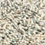 Samuels Shag Area Rug-1976031631