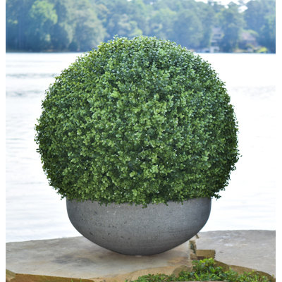 28'' Boxwood Topiary