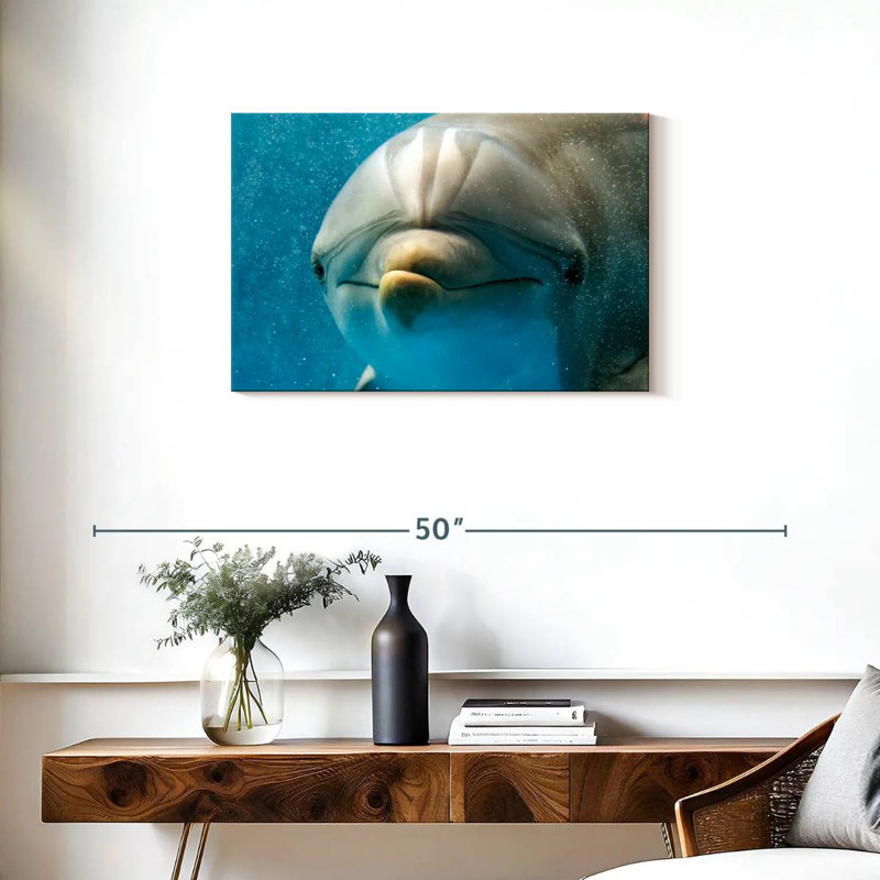 Brampt Nosy Dolphin, 20" H x 30" W