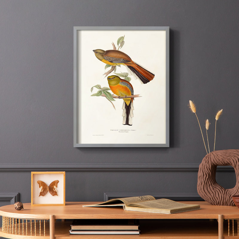 Impression encadrée Elegant Trogons II - bois massif, Cadre simple blanc, H 28 po x l 22 po