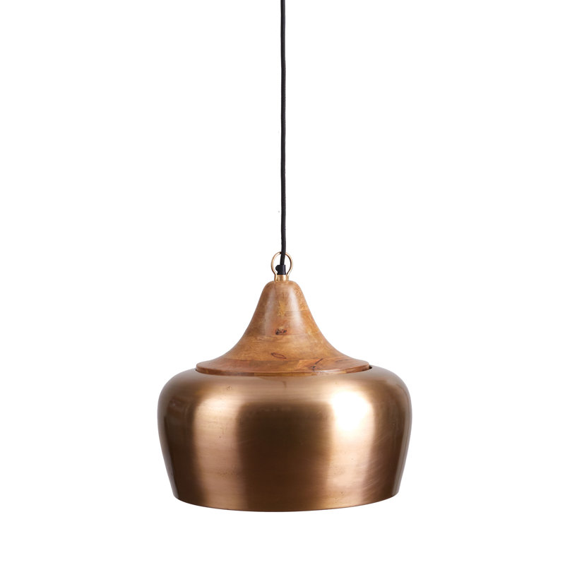 Luminaire suspendu en forme de dôme à 1 lumière avec accents en bois Salem