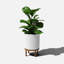 Jardinière Demi Series avec support-83889252-83889256-97745289