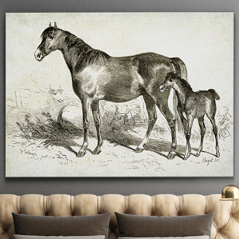 « équin sketch viii », impression, H 18 po x l 27 po x P 1,5 po, Pas de tapis, Toile tendue