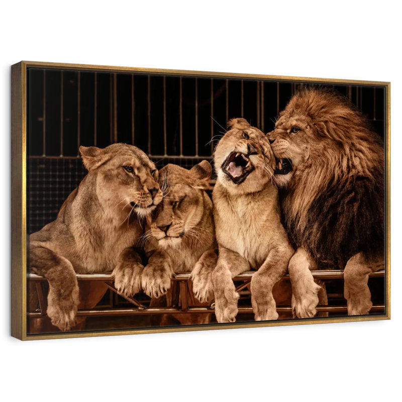 Fierté des lions, Cadre flottant doré, 31 po x 21 po