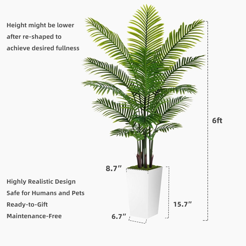 Plant, 183 cm x 18 cm