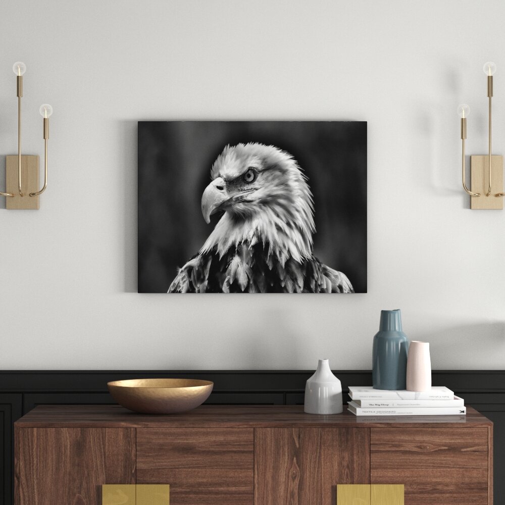 Leinwandbild Mächtiger Weißkopfseeadler in Monochrom