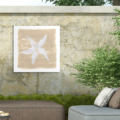 Yvette St. Amant Soft Sea Starfish Outdoor  Canvas