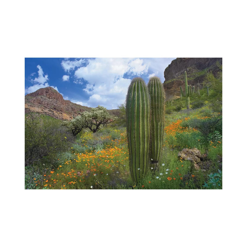 Saguaro Amid Flowering Lupine, California Brittlebush, Organ Pipe Cactus National Monument, Arizona And Desert Golden Poppies II by Tim Fitzharris - Wrapped Canvas Print