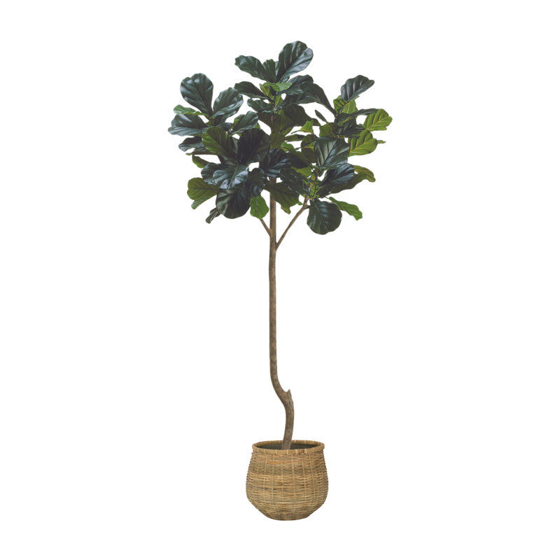 7' Fiddle Leaf Tree with Bamboo Planter