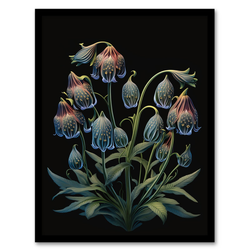 Delicate Plant Blooms On Black Ernst Haeckel Style Artwork - Single Picture Frame Print