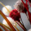 Perdue 3 Piece Pom Pom Spray Set
